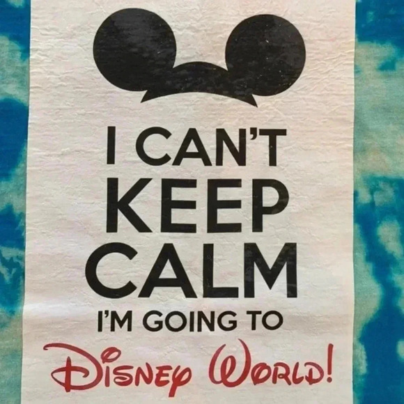 Going To Disney World Bleach Dye T Shirt OOAK Acid Reverse Dye Size Medium - Picture 3 of 5